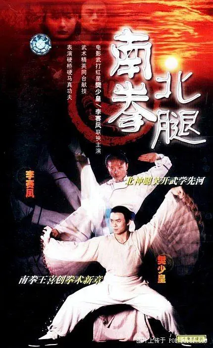 【南拳北腿】【1995】【全20集】【720P.H264】【MKV】【粤国双语繁简双字】【10G】【百度云】